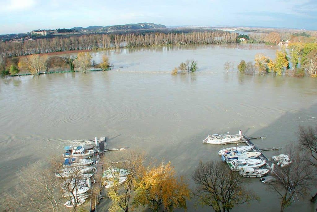20 Best Avignon Tourist Spots And Things to do in Avignon (Travel Guide) 21 Things to do in Avignon, Avignon Tourist Spots, Barthelasse Island