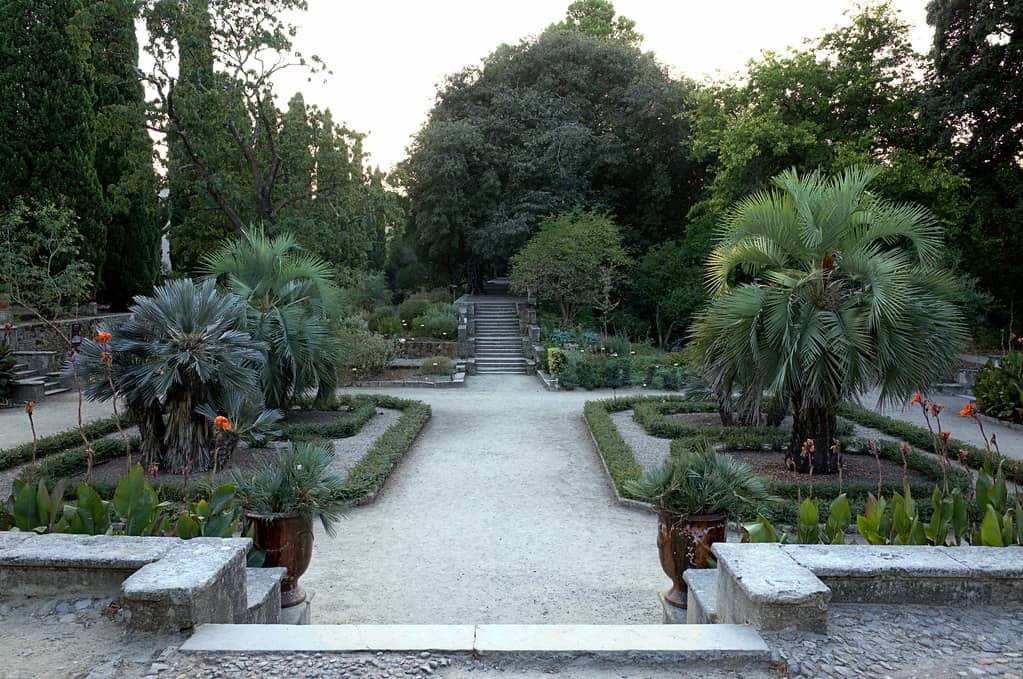 22 Best Montpellier Tourist Spots And Things to do in Montpellier (Travel Guide) 14 Jardin des Plantes (Botanical Gardens)