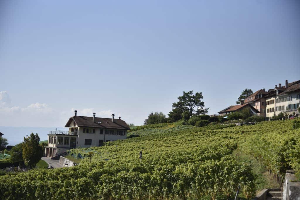 18 Best Geneva Tourist Spots And Things To Do in Geneva Switzerland 16 Lausanne 30
