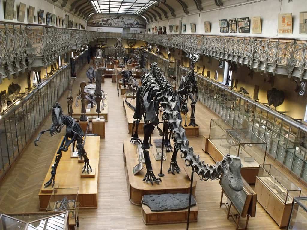 Chambery tourist spots, things to do in Chambery, Musee d'Histories Naturelle