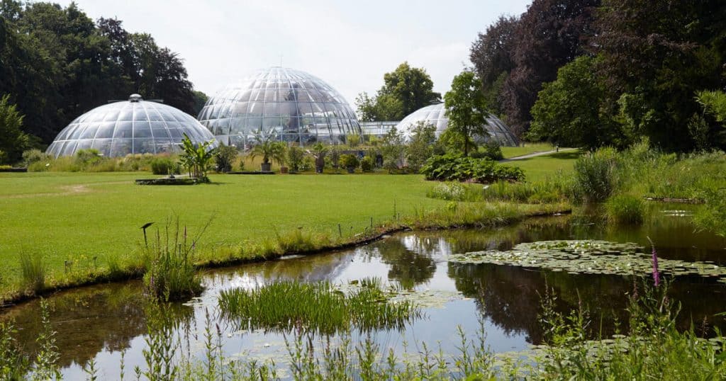 22 Best Zurich Tourist Spots And Things To Do in Zurich 14 Zurich Tourist Spots, Things to do in Zurich, Botanic Garden
