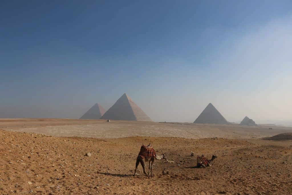 sim card Cairo airport, cheapest sim card in Egypt, prepaid sim card egypt, egypt sim card for tourist, best tourist sim card egypt, egypt sim card for tourists, best sim card for egypt, egypt tourist sim card, Egypt tourist sim card, egypt sim card, Egypt prepaid sim card, sim card Egypt
