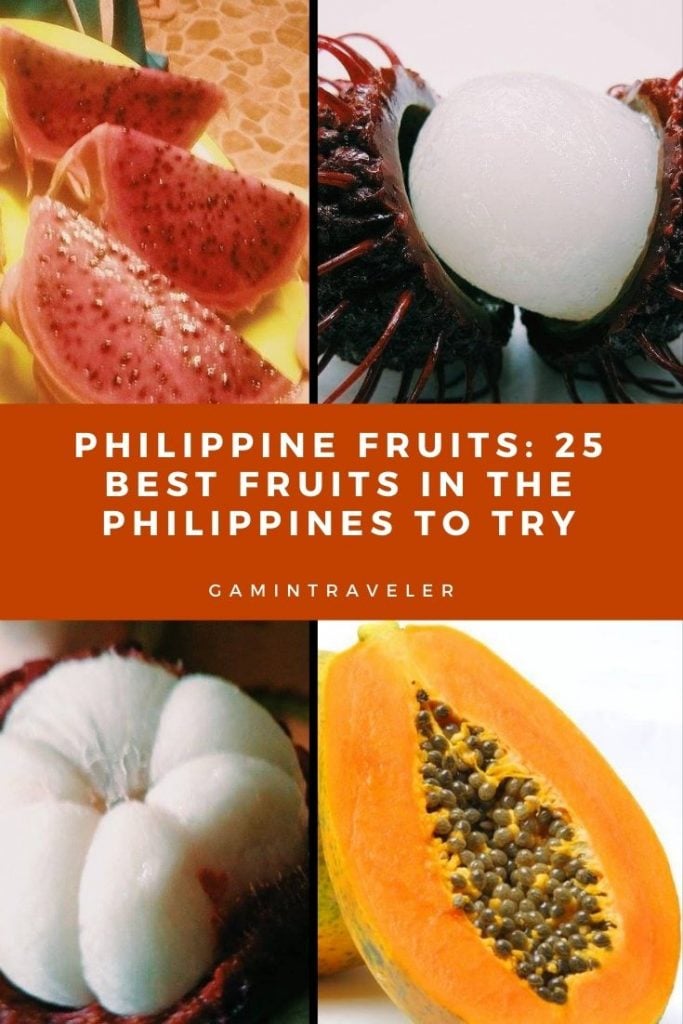 Fruit Pin 1