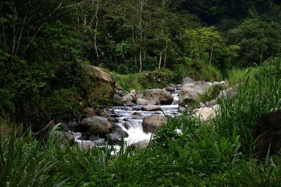 40 Best Things To Know Before Visiting Panama And Panama Travel Tips For First Timers 28 Panama travel tips, things to know before visiting Panama, facts about Panama, Boquete