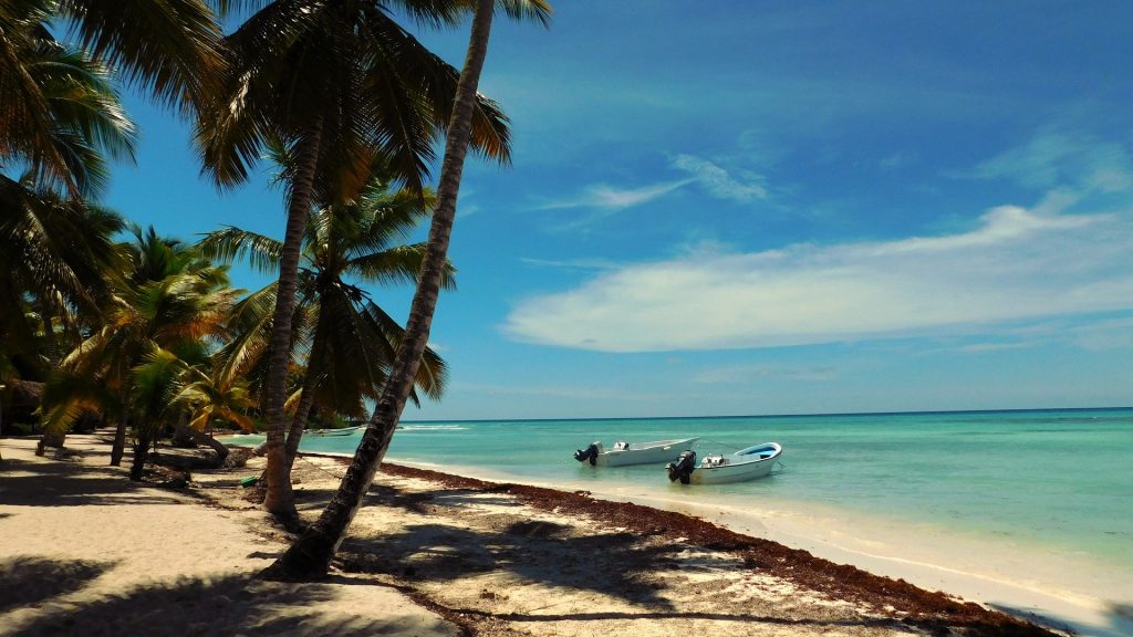 28 Most Instagrammable Places In Dominican Republic And Dominican Republic Instagram Spots 13 Saona Island