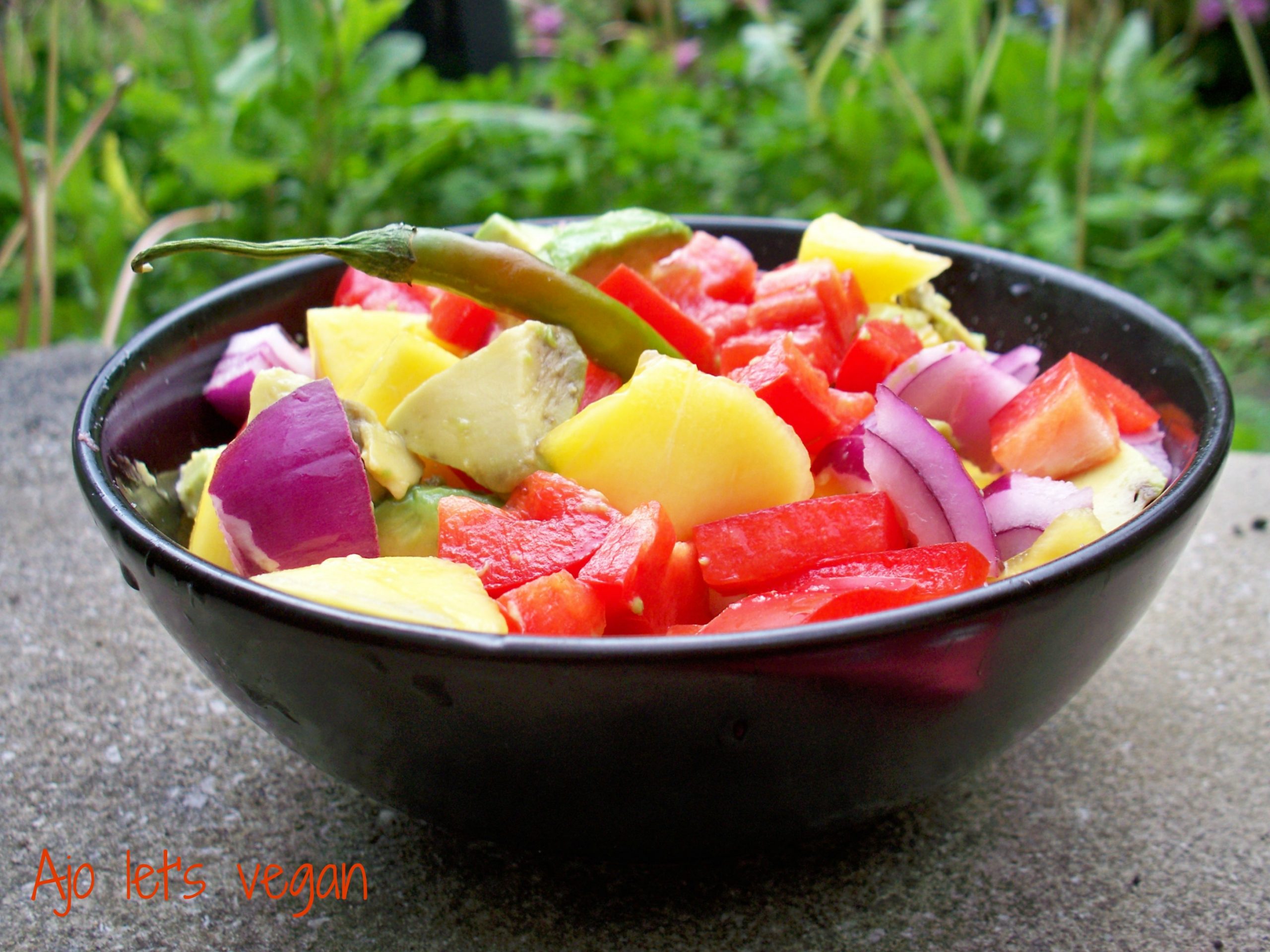 Vegetarian Food in Guatemala: 26 Best Guatemalan Vegetarian Dishes And Vegan Food in Guatemala 7 vegetarian food in Guatemala, vegan food in guatemala, vegetarian dishes in Guatemala, Guatemalan vegetarian dishes, Spicy Mango And Avocado