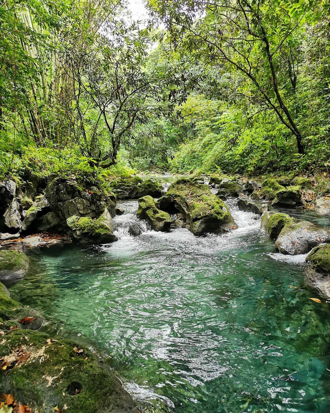 Comparison Dominican Republic vs Jamaica - Which is a Better Trip? 30 Jamaica instagram spots, most instagrammable places in Jamaica, Jamaica photos, Jamaica photography, Reach Falls