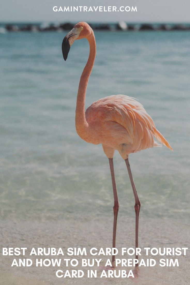 Digicel Aruba sim card, Setar Aruba sim card, best tourist sim card Aruba, Aruba sim card for tourists, best sim card for Aruba, Aruba prepaid sim card, Aruba sim card for tourist, tourist sim card Aruba, prepaid sim card Aruba, Aruba tourist sim card, sim card in Aruba, sim card Aruba, Aruba prepaid sim card, Aruba sim card airport, Aruba sim card, Aruba prepaid sim card,