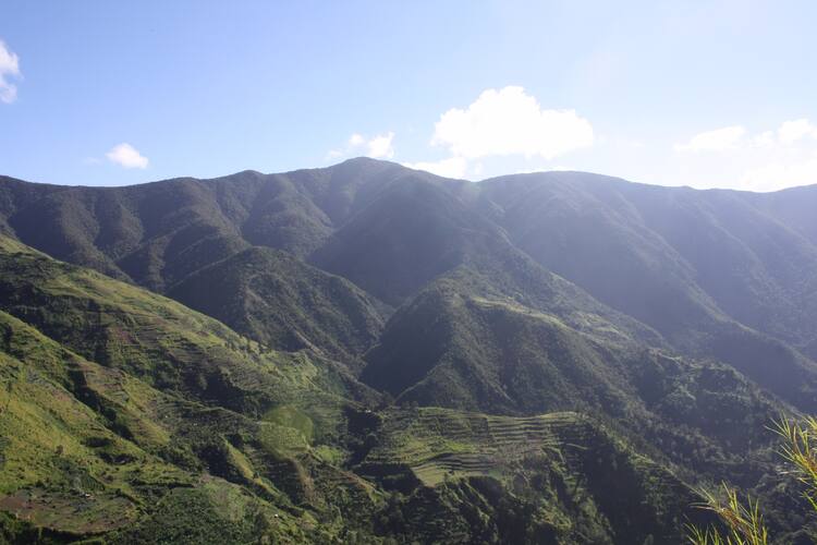 Comparison Dominican Republic vs Jamaica - Which is a Better Trip? 28 Blue and John Crow Mountains National Park, Dominican Republic vs Jamaica - Which is a Better Caribbean Trip?