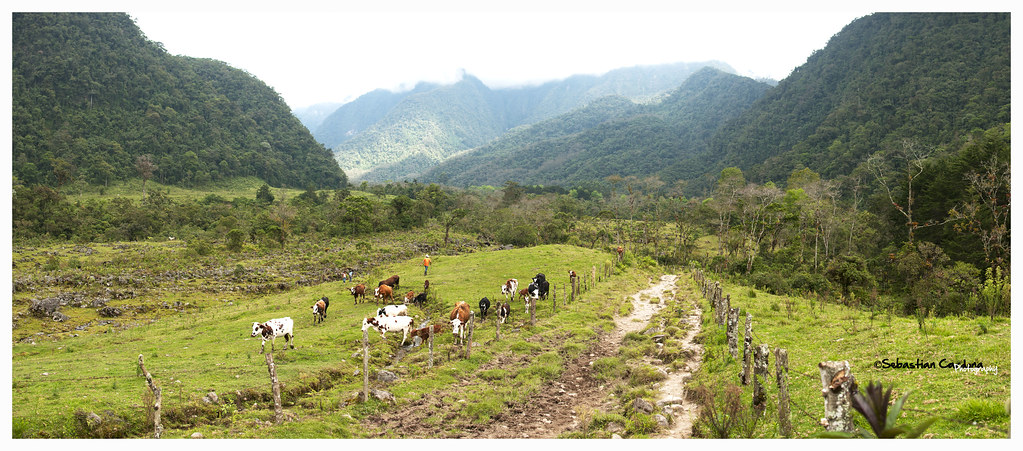 31 Most Instagrammable Places In Colombia And Best Colombia Instagram Spots That You Can't Miss 19 Colombia instagram spots, most instagrammable places in Colombia, Colombia photos, Colombia photography, La Pastora