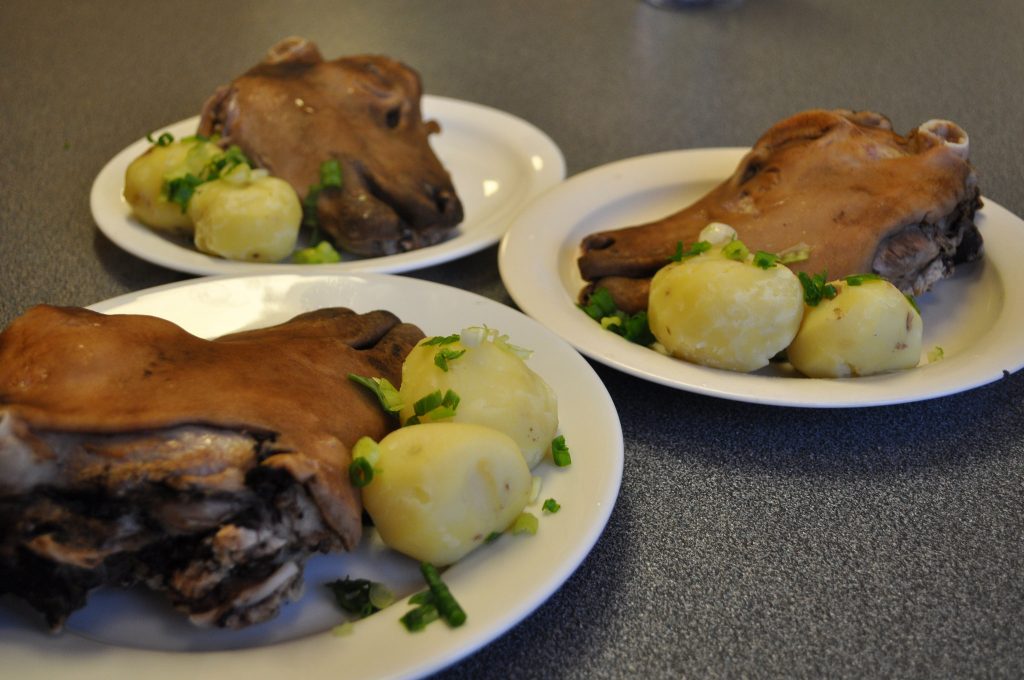 Best Icelandic Food - 40 Best Icelandic Dishes And Iceland Traditional Food To Try 14 Svið or boiled sheep head, iceland food, iceland street food, food in iceland, iceland cuisine, iceland traditional food, icelandic cuisine, icelandic dishes, icelandic food,