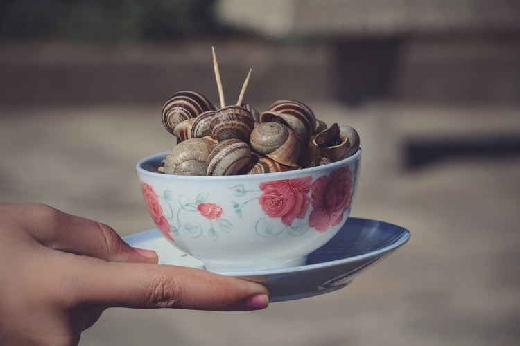 moroccan food, food in morocco, moroccan cuisine, moroccan dishes, traditional moroccan food, Snail soup