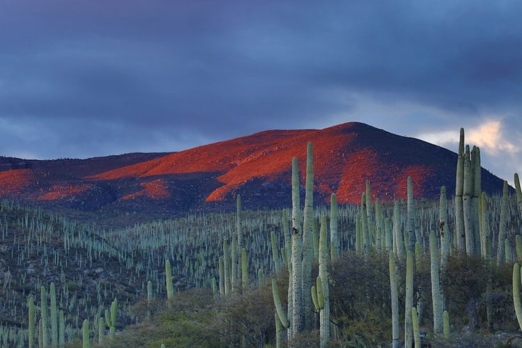 45 Most Instagrammable Places In Mexico And Best Mexico Instagram Spots 43 Most Instagrammable Places in Mexico, Mexico Instagram Spots, mexico photos, Mexico Photography, Zapolitan Salinas