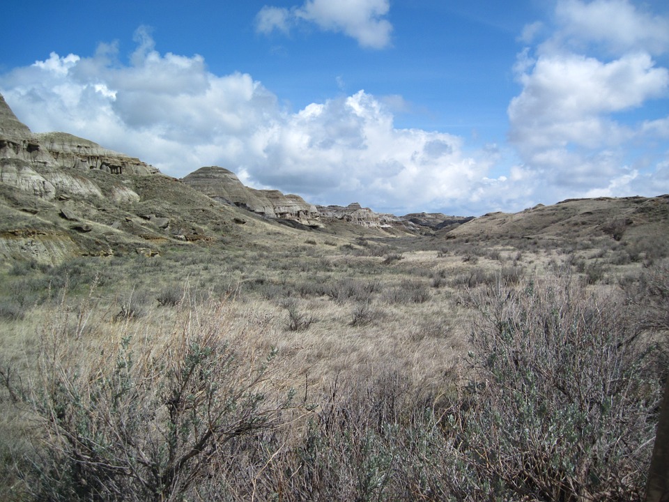 Canada instagram spots, most instagrammable places in Canada, instagrammable places in Canada, Canada photography, Canada photos, Dinosaur Provincial Park