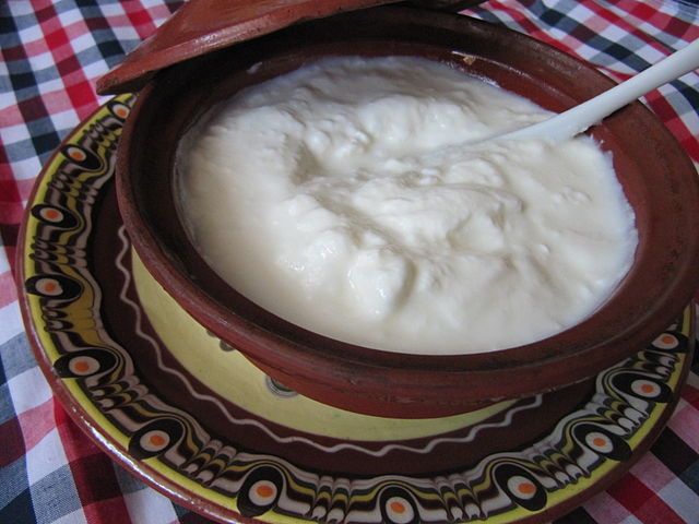 Best Bulgarian Food - Best Bulgarian Dishes And Traditional Food In Bulgaria To Try 40 Bulgarian Food, Bulgarian cuisine, Traditional Bulgarian Food, food in Bulgaria, Bulgarian dishes, drinks in Bulgaria, Bulgarian drink, Kiselo mlyako