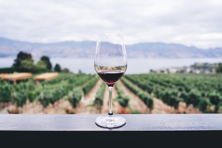 Canadian Food, Canadian cuisine, Traditional Canadian Food, food in Canada, Canadian drink, drinks in Canada, Canadian Wine