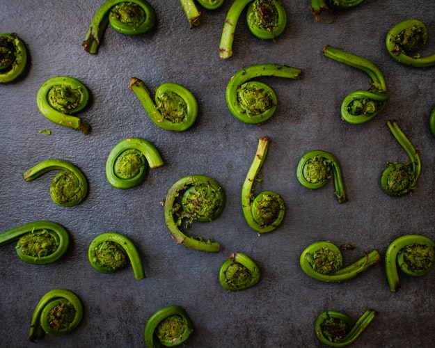 Canadian Food, Canadian cuisine, Traditional Canadian Food, food in Canada, Canadian dishes, Fiddleheads