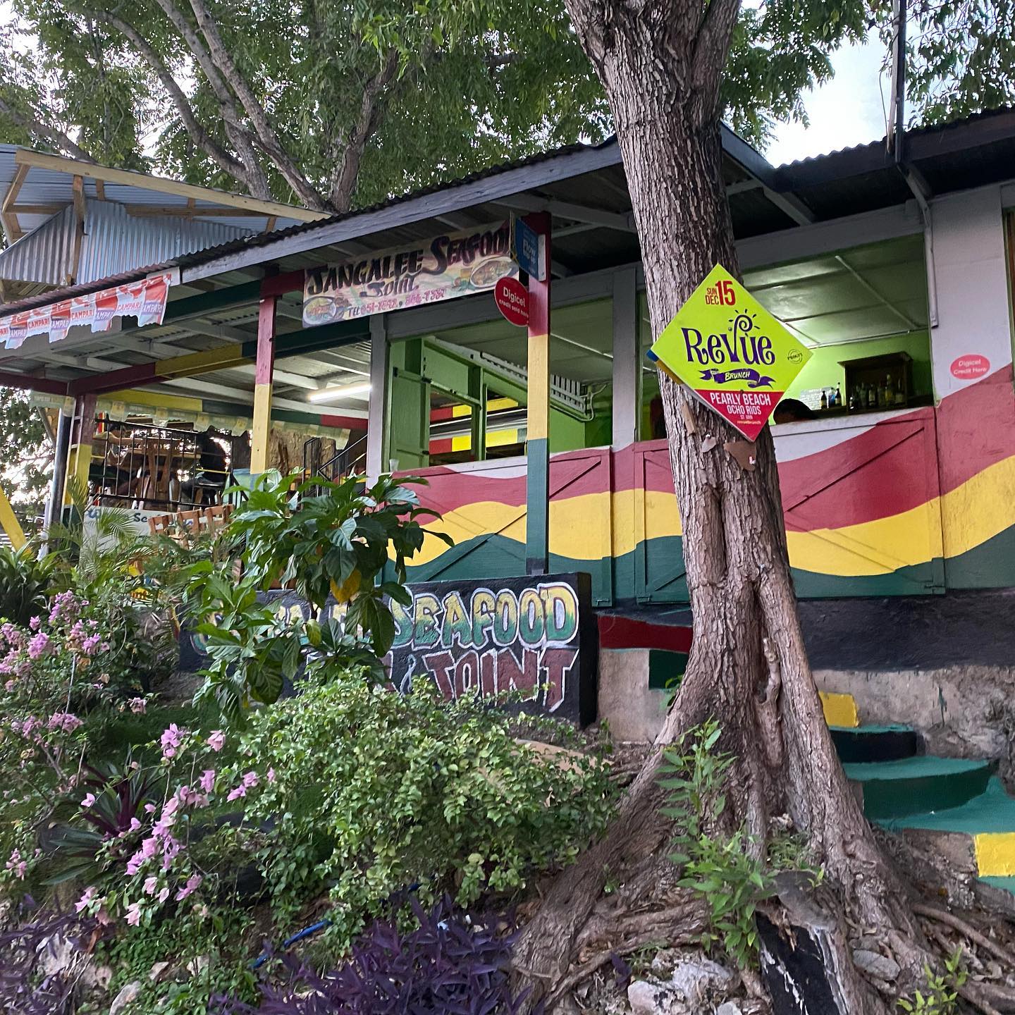 Ocho Rios Food - 30 Best Restaurants In Ocho Rios And Where To Eat 22 restaurants in ocho rios 2400, best restaurants in ocho rios 170, ocho rios food, where to eat in ocho rios, Jangalee Seafood Joint