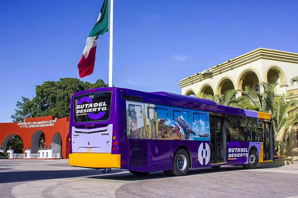 Ruta Del Desierto Airport Bus Los Cabos, How To Get From Los Cabos Airport To City Center - All Possible Ways, cheapest way from Los Cabos airport to city center, Los Cabos airport to city center, Los Cabos airport to cabo de san lucas