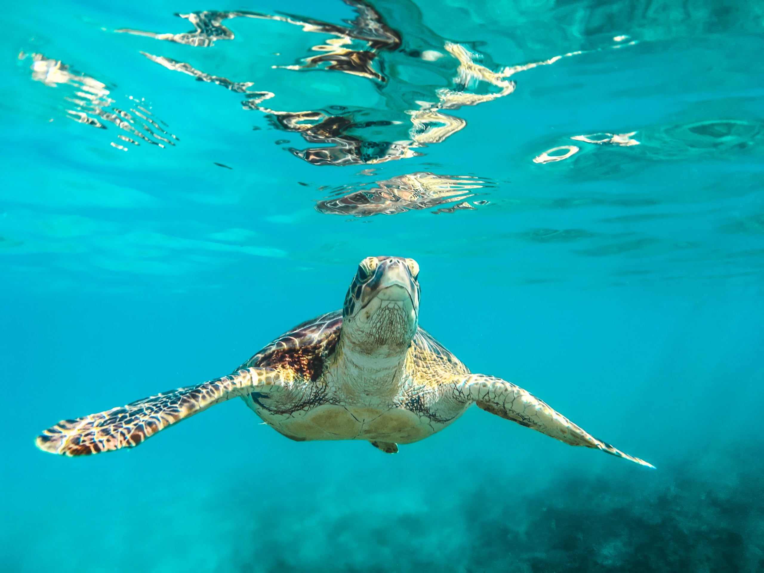 12 Best Places In The Caribbean To Live For Less Than $2,000 USD A Month