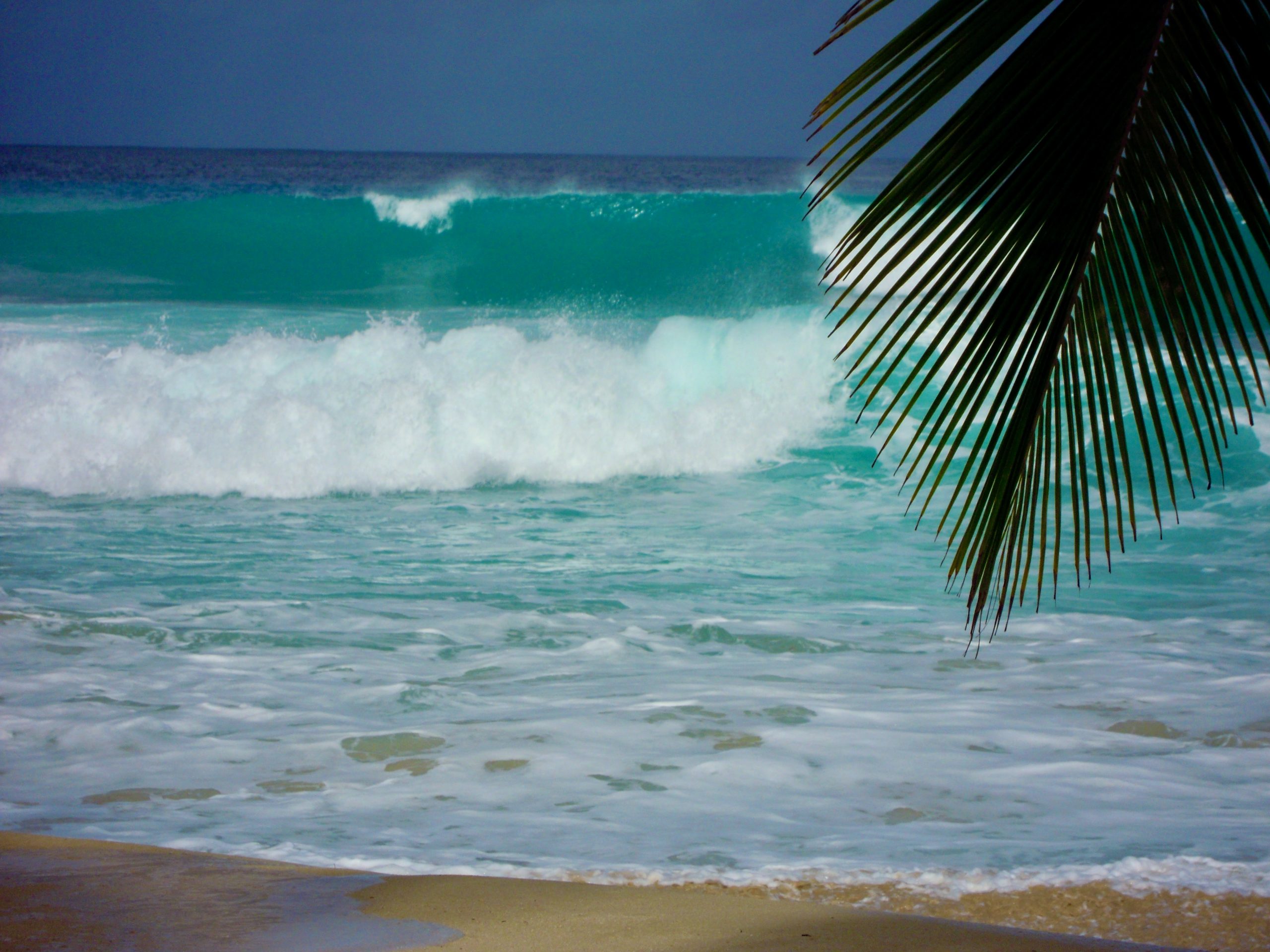 The Soup Bowl Bathsheba Barbados 6 scaled