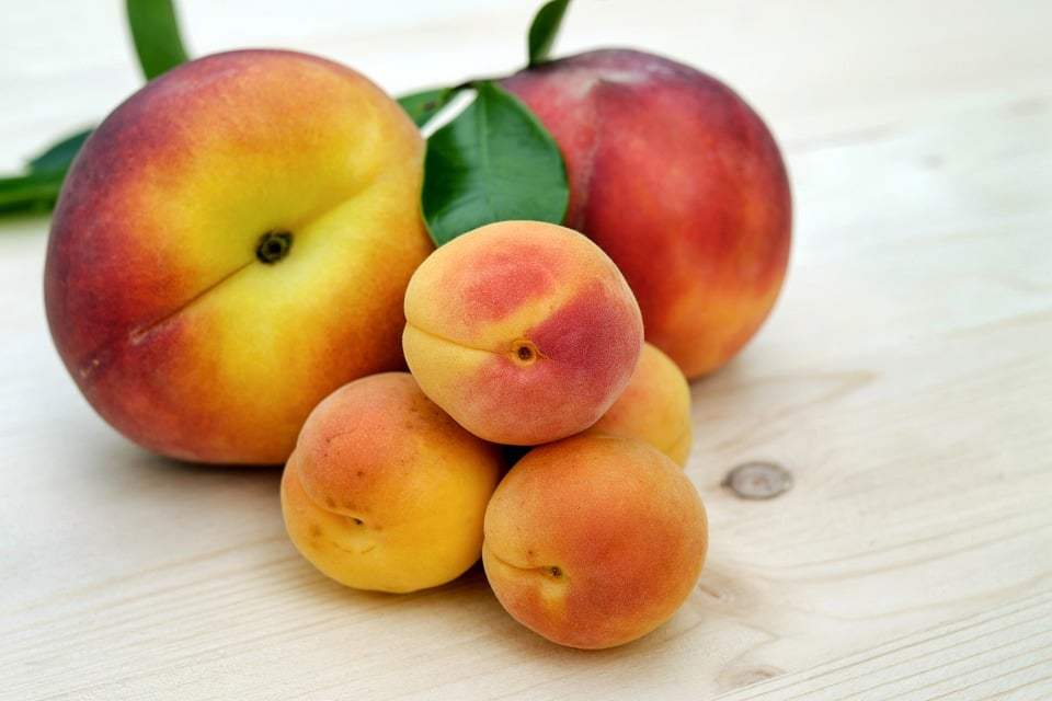 Armenian dessert, Armenia food, Armenia cuisine, traditional food in Armenia, Armenia snacks, Armenia desserts, Armenia apricot