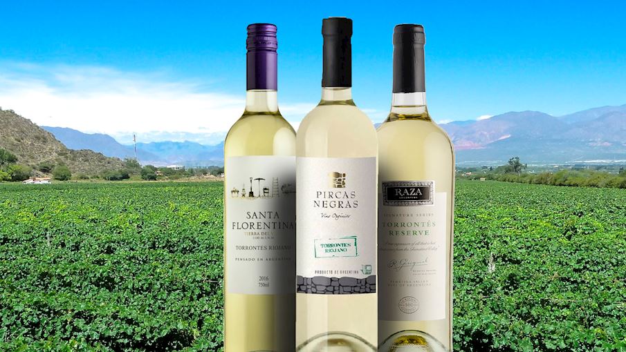 Argentinian drinks, drinks in argentina, traditional Argentinian drinks, argentina drinks, torrontes riojano