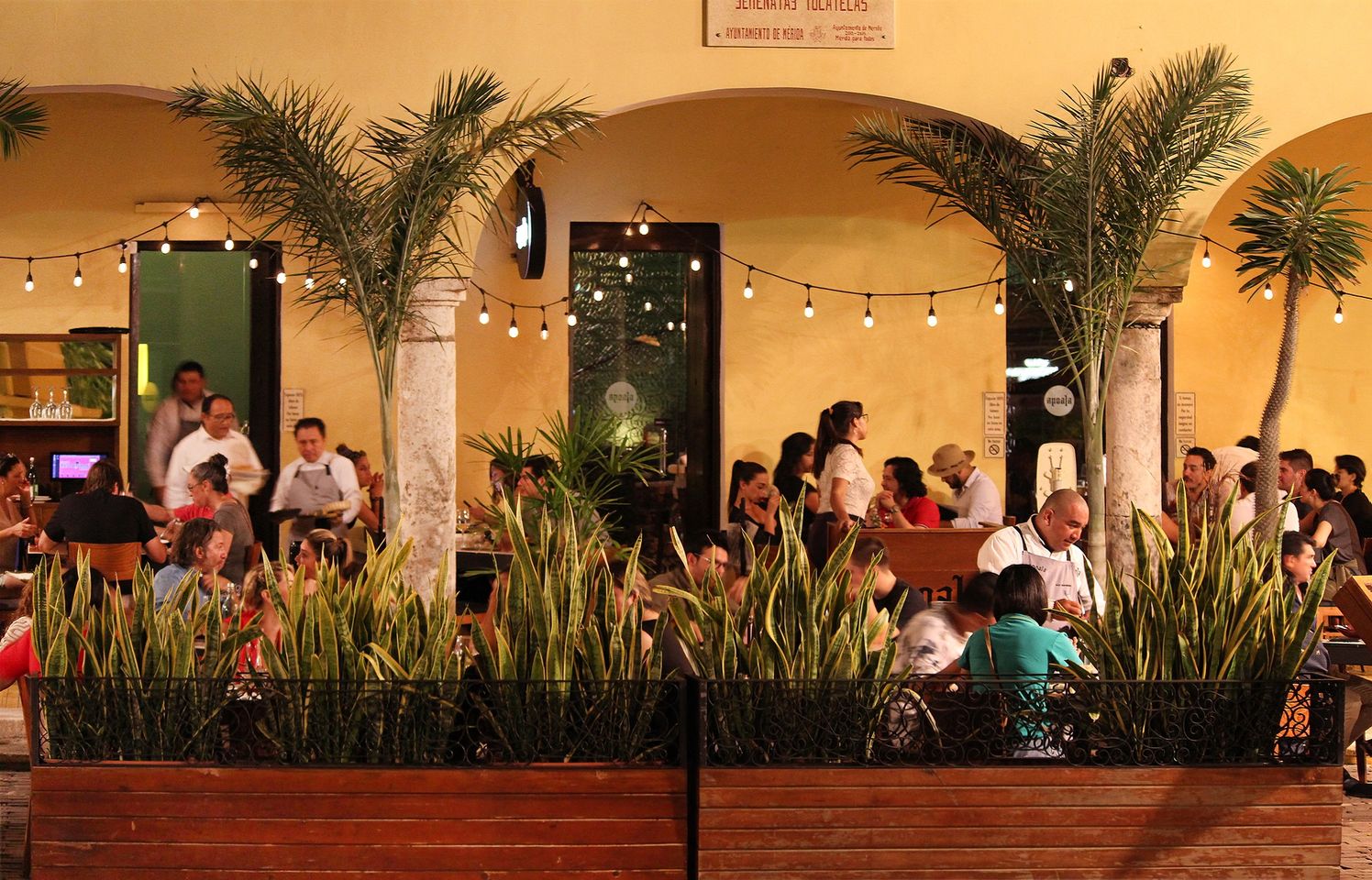 Merida Food - 30 Best Restaurants In Merida And Where To Eat 21 restaurants in merida, best restaurants in merida mexico, merida food, restaurants in merida mexico, merida restaurant, where to eat in merida, merida restaurants, best merida restaurants, apoala mexican cuisine
