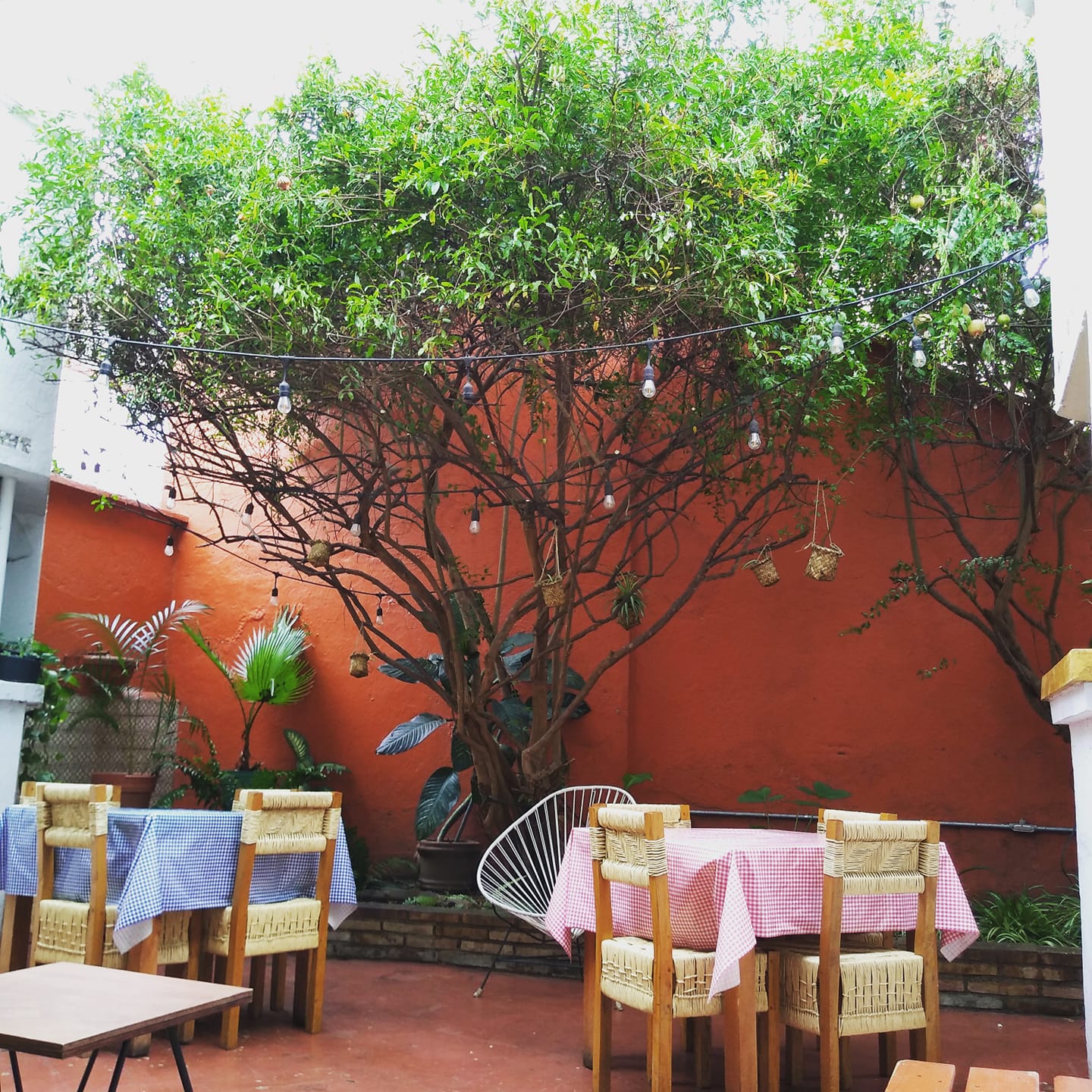 Oaxaca Food - 30 Best Restaurants In Oaxaca And Where To Eat 10 restaurants in oaxaca, best restaurants in oaxaca, where to eat in Oaxaca, Oaxaca food, best restaurants in Oaxaca, Oaxaca restaurants, best Oaxaca restaurants, Cabuche