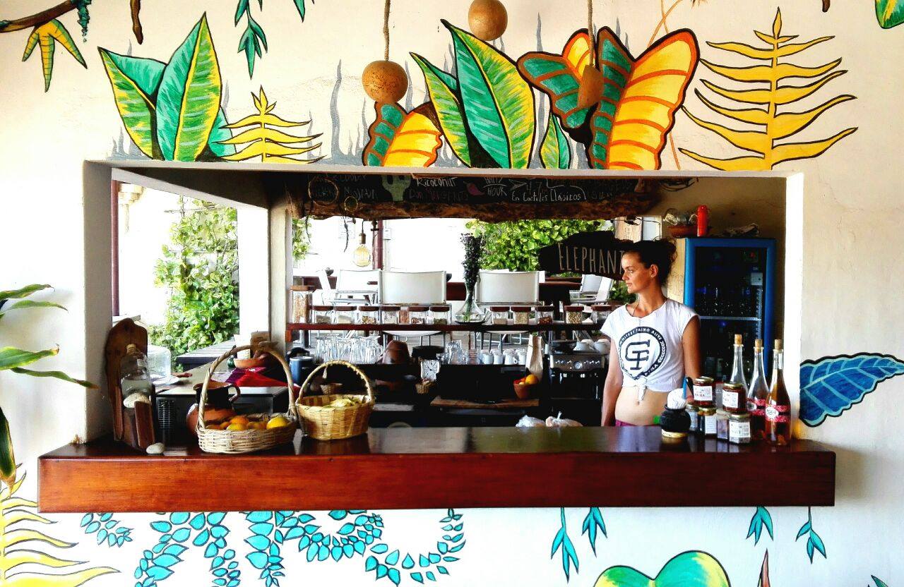 Oaxaca Food - 30 Best Restaurants In Oaxaca And Where To Eat 34 Oaxaca restaurants, best Oaxaca restaurants, vegan restaurants in Oaxaca, vegetarian restaurants in Oaxaca, vegan in Oaxaca, vegetarian in Oaxaca, elephant garden