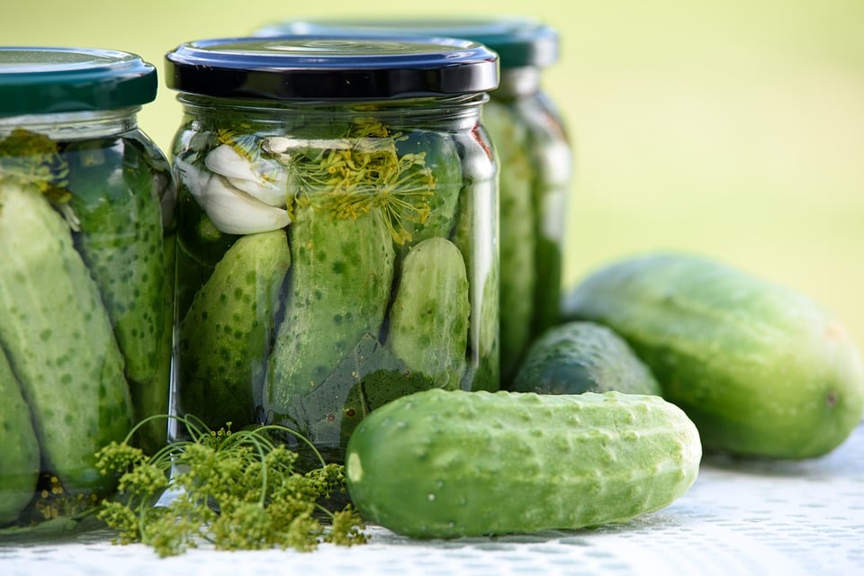 Polish Food, Traditional Polish Food, traditional food in Poland, Poland food, Polish cuisine, Poland dishes, Polish dishes, pickled cucumber