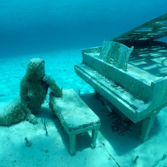 Comparison Aruba vs Bahamas - Which One Is Better Vacation? 23 The Musician in the Bahamas