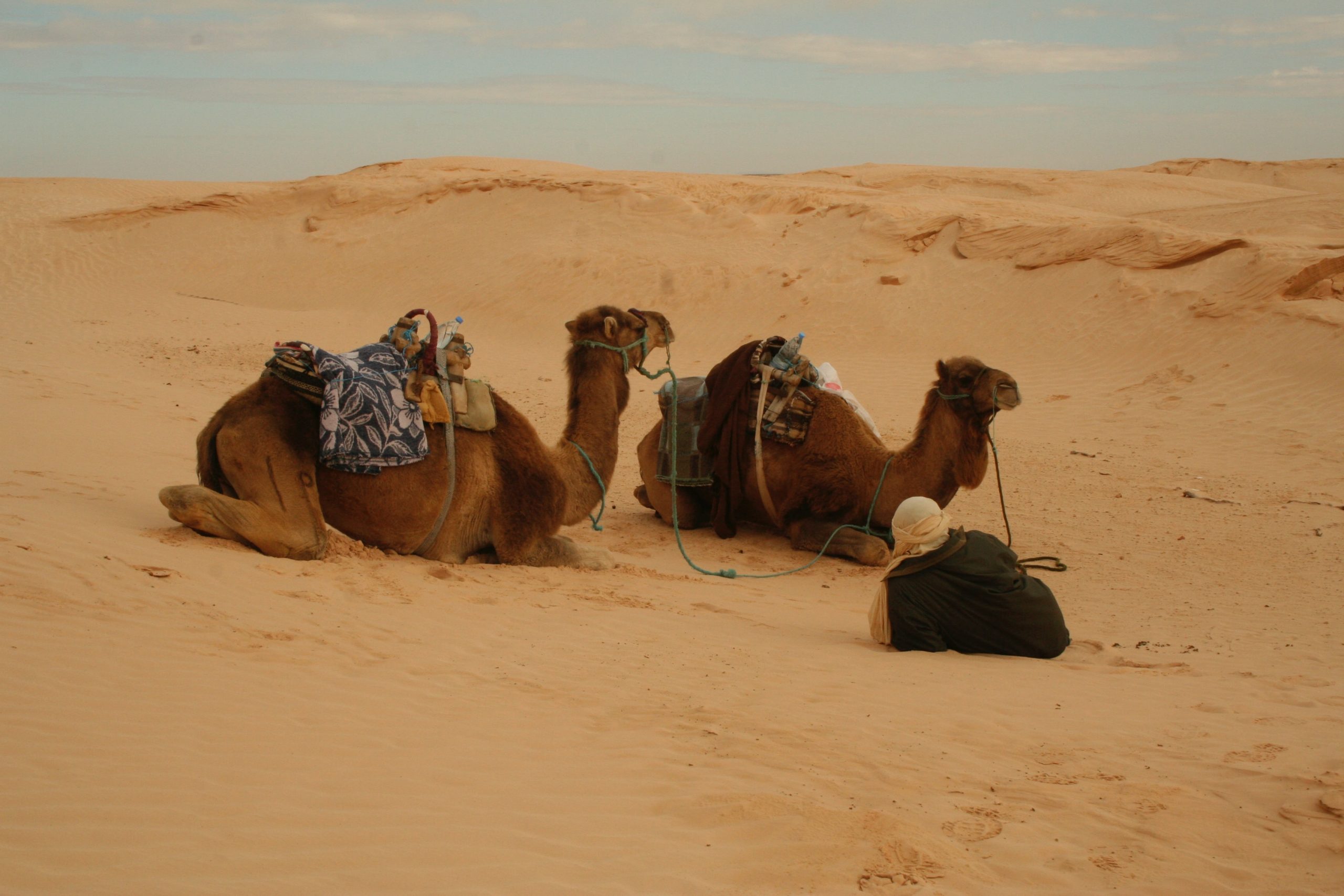 What to do in Dubai - 7 Checklist to Mark In Your Luxury Trip 5 What to do in Dubai - 7 Checklist to Mark In Your Luxury Trip