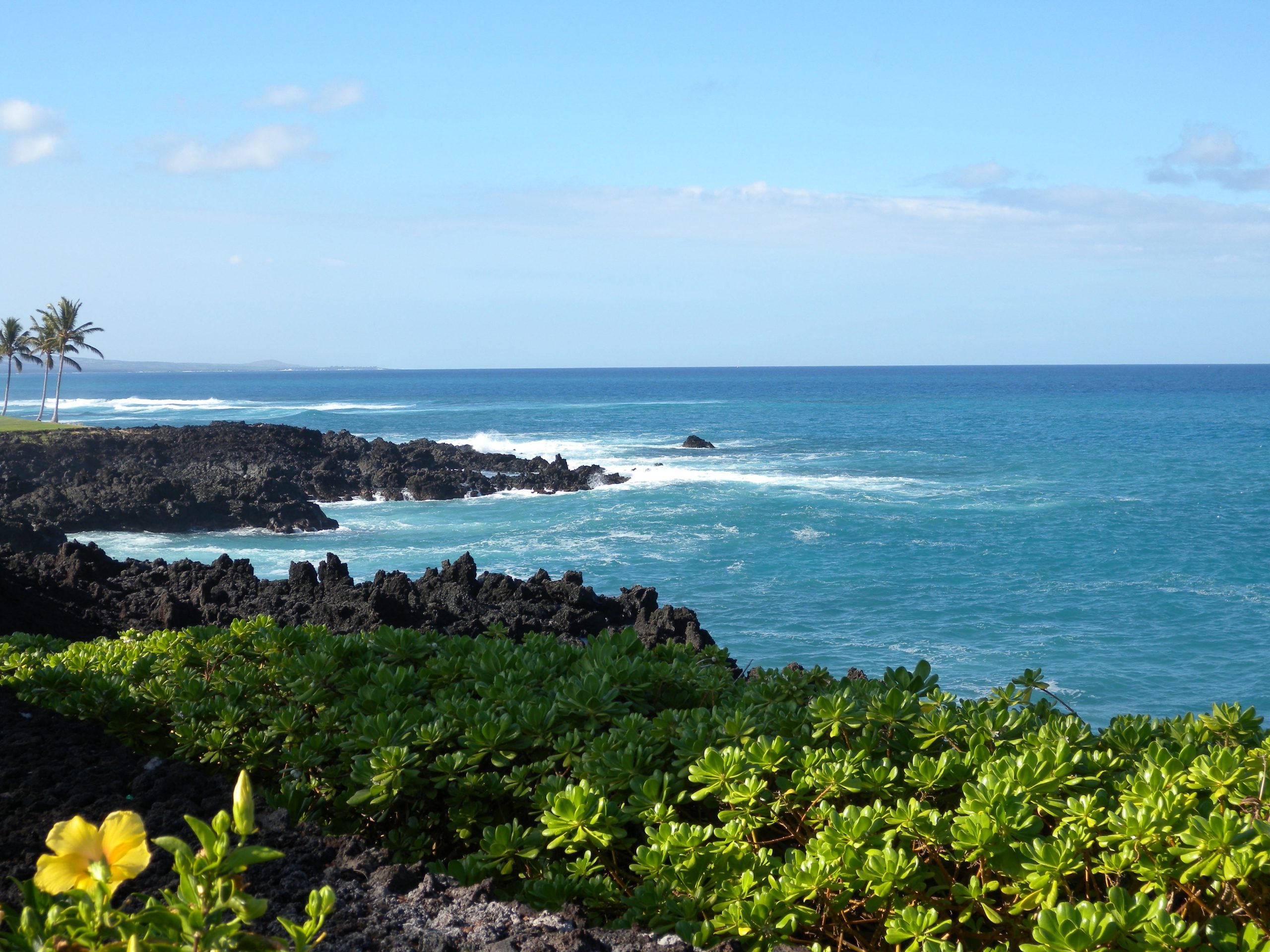 How To Get From Kona Airport To Waikoloa - All Possible Ways, cheapest way from Kona airport to Waikoloa, Kona airport to Waikoloa, Kona Airport Bus To Waikoloa