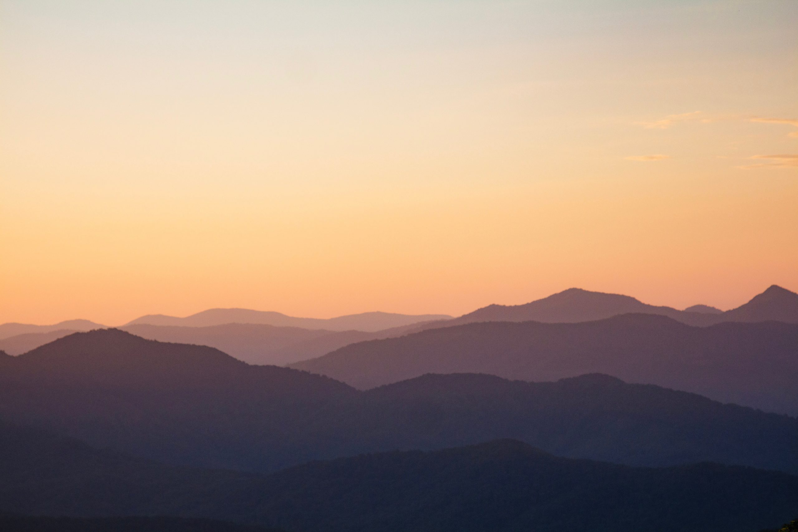 How To Get From Asheville Airport To City Center - All Possible Ways, cheapest way from Asheville airport to city center, cheapest way from Asheville airport to downtown, Asheville airport to city center, Asheville airport to city, Asheville airport to downtown, Bus Asheville Airport
