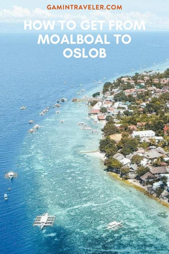 How to Get From Moalboal to Oslob Best Way 1 How to get from Moalboal to Oslob