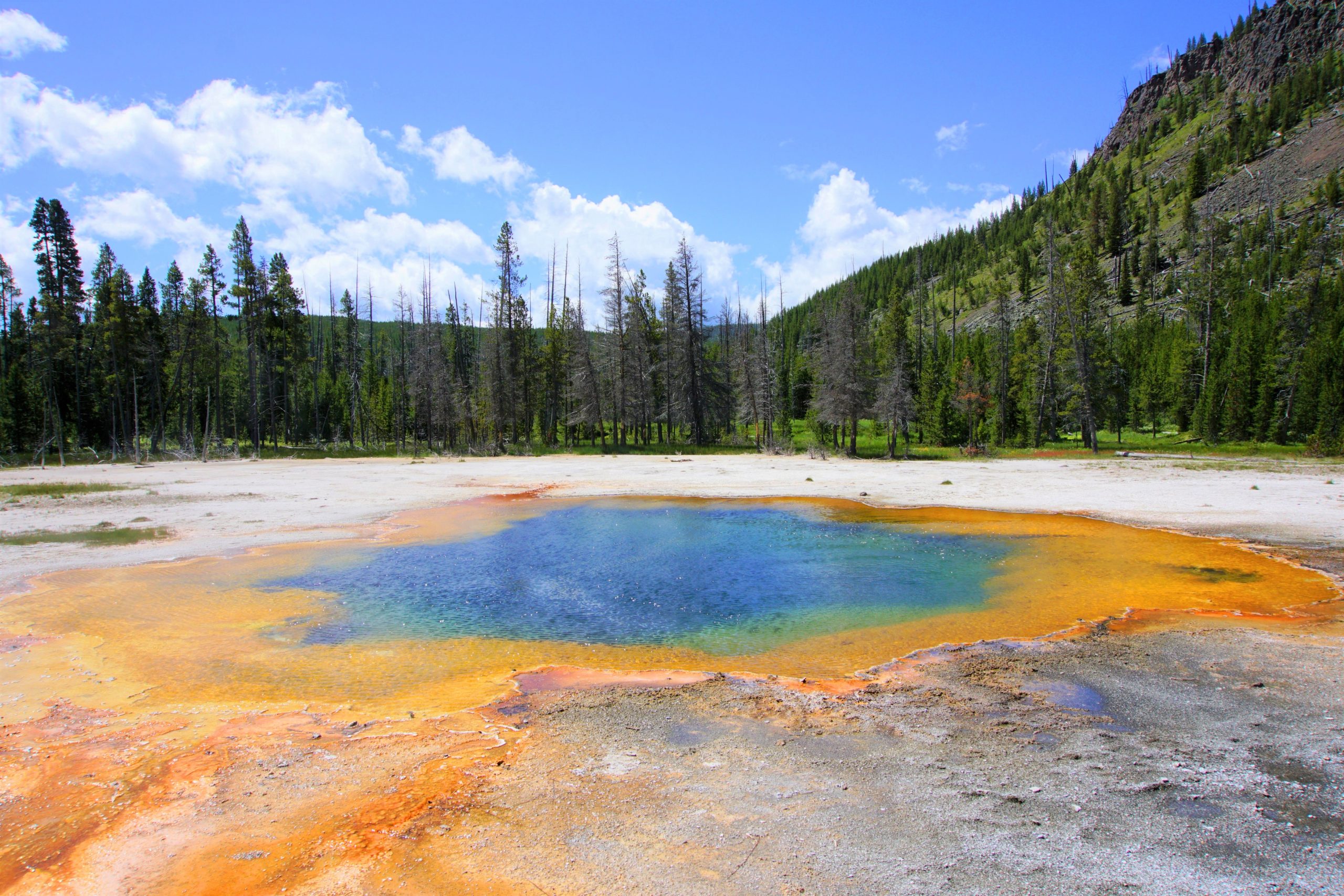 Yellowstone National Park 2 scaled