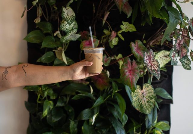 Kahului Food - 15 Best Restaurants In Kahului Where To Eat 14 best restaurants in Kahului, restaurants in Kahului, where to eat in Kahului, vegan restaurants in Kahului, vegetarian restaurants in Kahului
