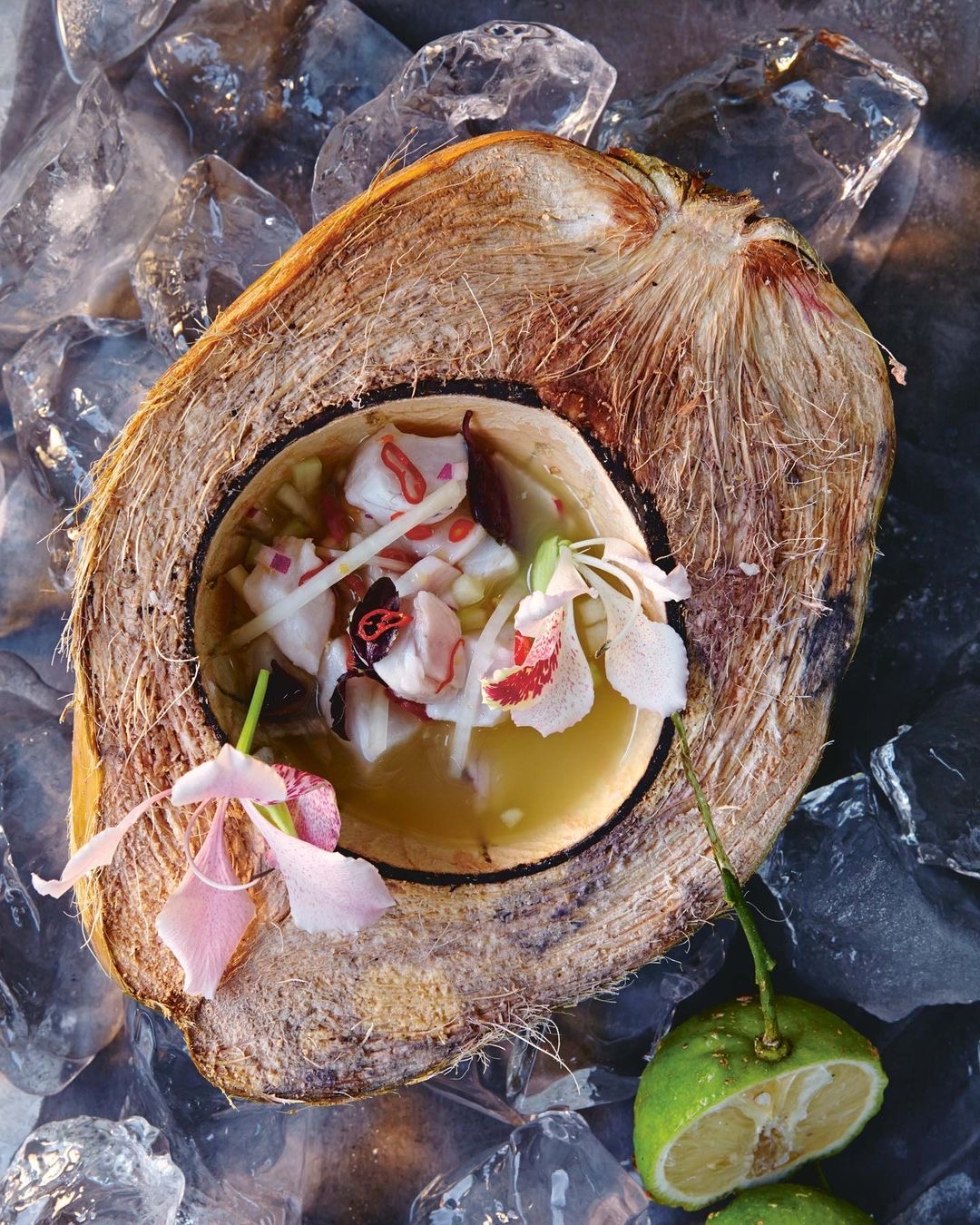 Restaurants In Tulum, best Restaurants In Tulum, Tulum food, where to eat in Tulum, vegetarian Restaurants In Tulum, vegan Restaurants In Tulum, Tulum restaurants