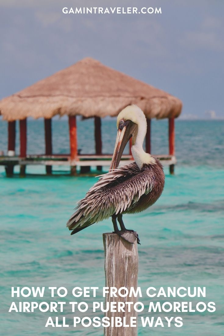 How To Get From Cancun Airport To Puerto Morelos Best Way 1 How To Get From Cancun Airport To Puerto Morelos - All Possible Ways, cheapest way from Cancun airport to Puerto Morelos, Cancun airport to Puerto Morelos, Cancun Airport Bus, Cancun Airport Bus to Puerto Morelos