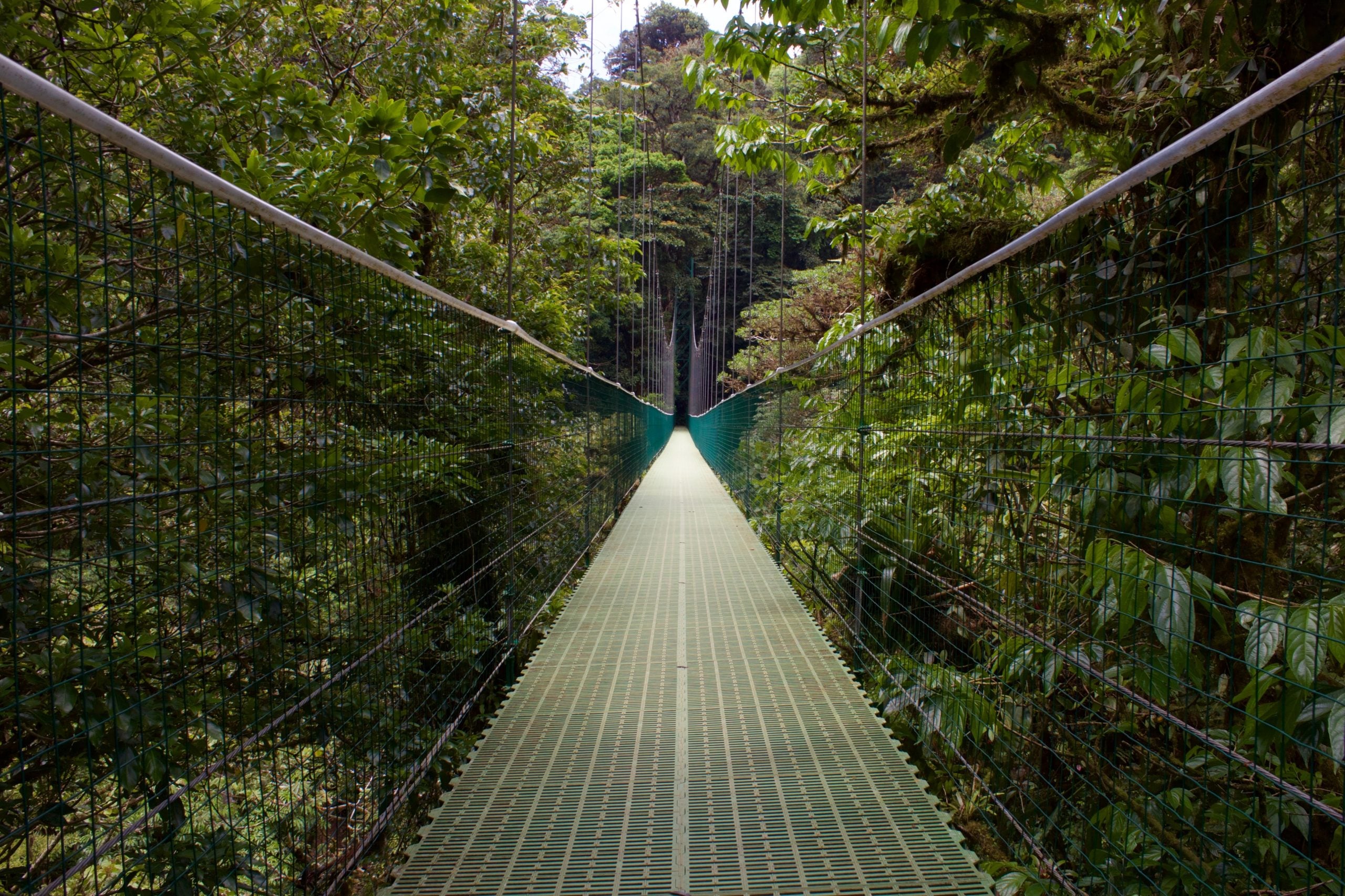 How To Get From Puerto Viejo to Monteverde - All Possible Ways, cheapest way from Puerto Viejo to Monteverde, Puerto Viejo to Monteverde, Puerto Viejo costa rica to Monteverde, Puerto Viejo to Monteverde bus, Puerto Viejo to Monteverde costa rica