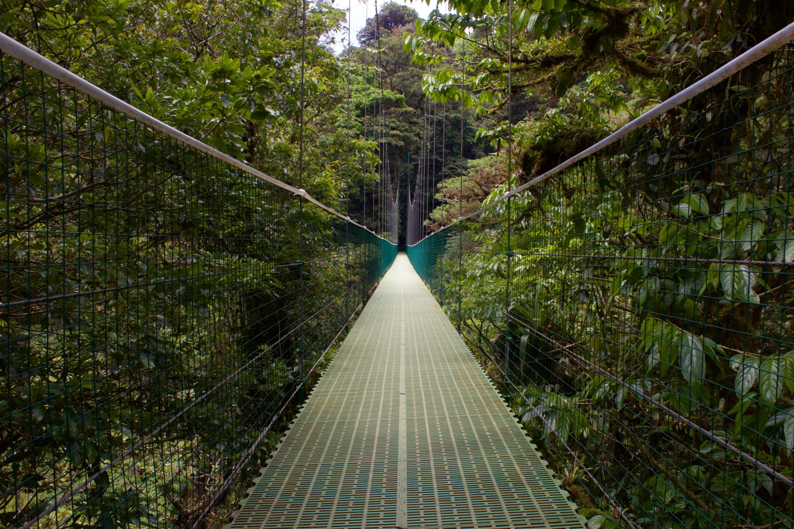 How To Get From San Jose Airport to Monteverde - All Possible Ways, cheapest way from San Jose Airport to Monteverde, San Jose Airport to Monteverde, San Jose Costa Rica Airport to Monteverde, San Jose to Monteverde, san jose costa rica to Monteverde, san jose to Monteverde bus