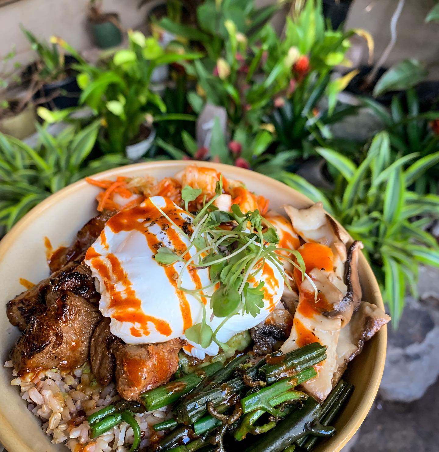 Kahala Food - 15 Best Restaurants In Kahala Where To Eat 10 Nalu's South Shore Grill, Kihei restaurants, restaurants in Kihei, plant based restaurants in Kihei, vegetarian restaurants in Kihei, vegan restaurants in Kihei, Kihei food, where to eat in Kihei, vegan in Kihei, vegetarian in Kihei, Kahala restaurants, restaurants in Kahala, plant based restaurants in Kahala, vegetarian restaurants in Kahala, vegan restaurants in Kahala, Kahala food, where to eat in Kahala, vegan in Kahala, vegetarian in Kahala