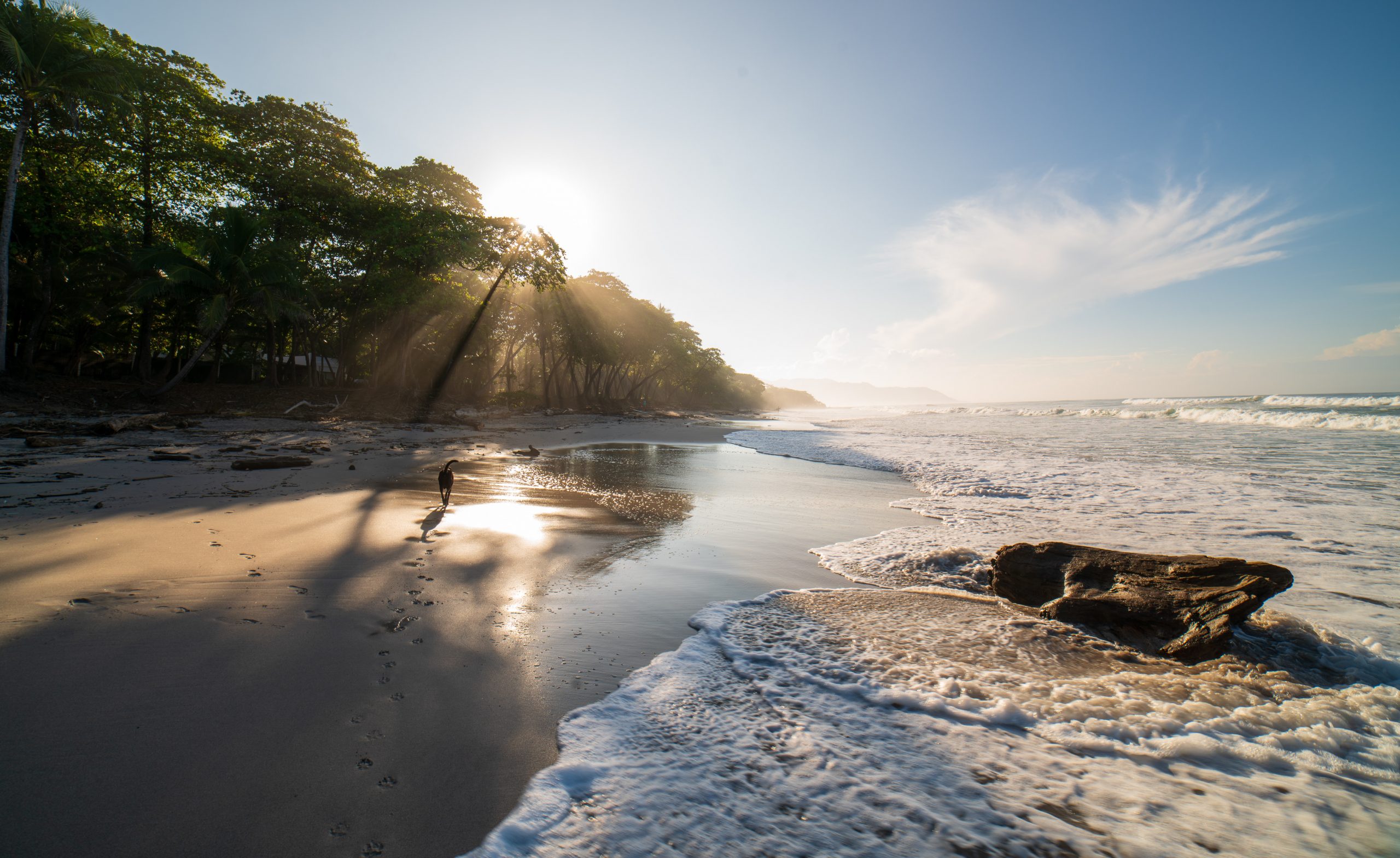 How To Get From Monteverde to Santa Teresa Beach - All Possible Ways, cheapest way from Monteverde to Santa Teresa, Monteverde to Santa Teresa Beach, Monteverde costa rica to Santa Teresa, Monteverde to Santa Teresa bus, Monteverde to Santa Teresa costa rica, Ferry schedule Puntarenas to Paquera, Paquera to Cobano, Cobano to Santa Teresa, Puntarenas to Jaco, Santa Teresa to Cobano