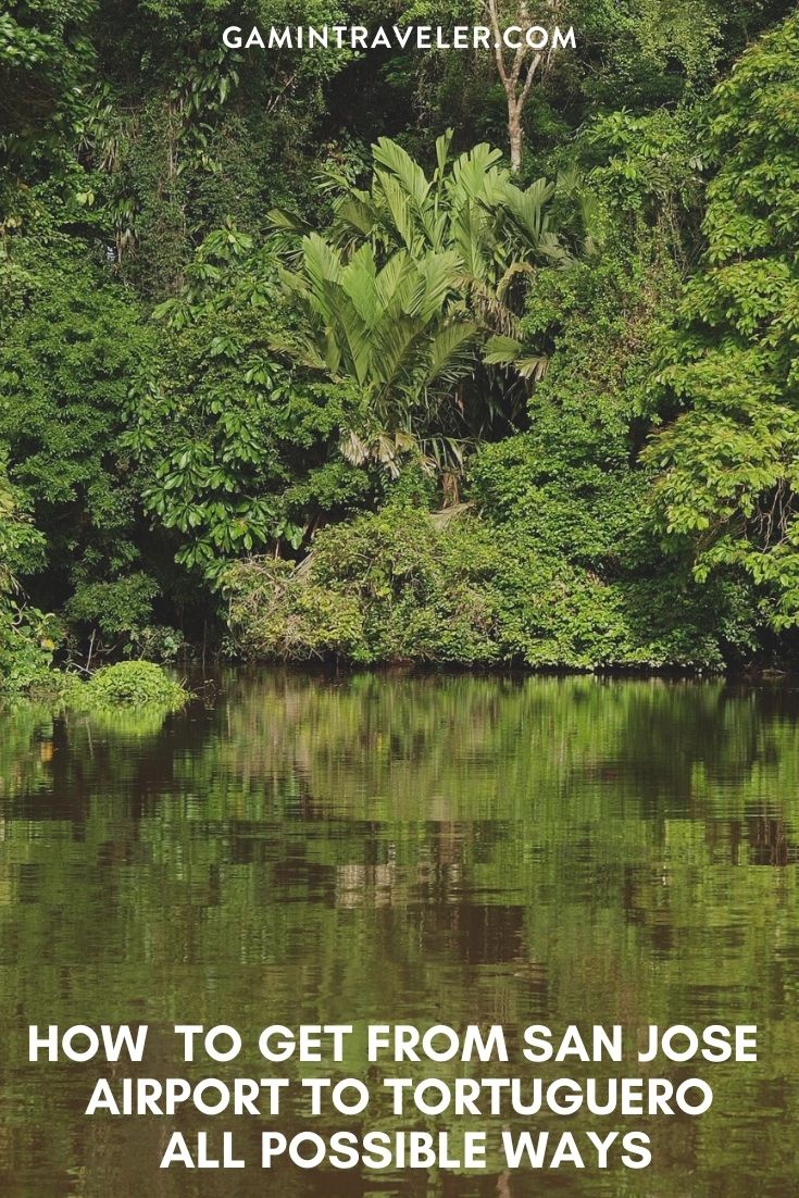 How To Get From San Jose Airport to Tortuguero Best Way 1 How To Get From San Jose Airport to Tortuguero - All Possible Ways, cheapest way from San Jose Airport to Tortuguero, San Jose Airport to Tortuguero, San Jose Costa Rica Airport to Tortuguero, San Jose to Tortuguero, san jose costa rica to Tortuguero, san jose to Tortuguero bus, san jose airport to Tortuguero National Park, san jose to Tortuguero National Park