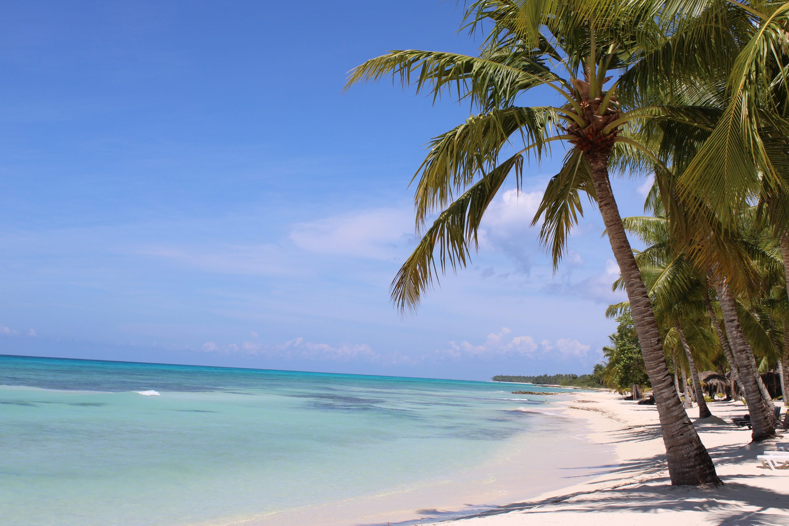 How To Get From Samana to Punta Cana Airport - All Possible Ways, cheapest way from Samana to Punta Cana, Samana to Punta Cana, Samana to Punta Cana bus, Samana to Punta Cana Airport, Caribe Tours Samana, Expreso Samana to Santo Domingo