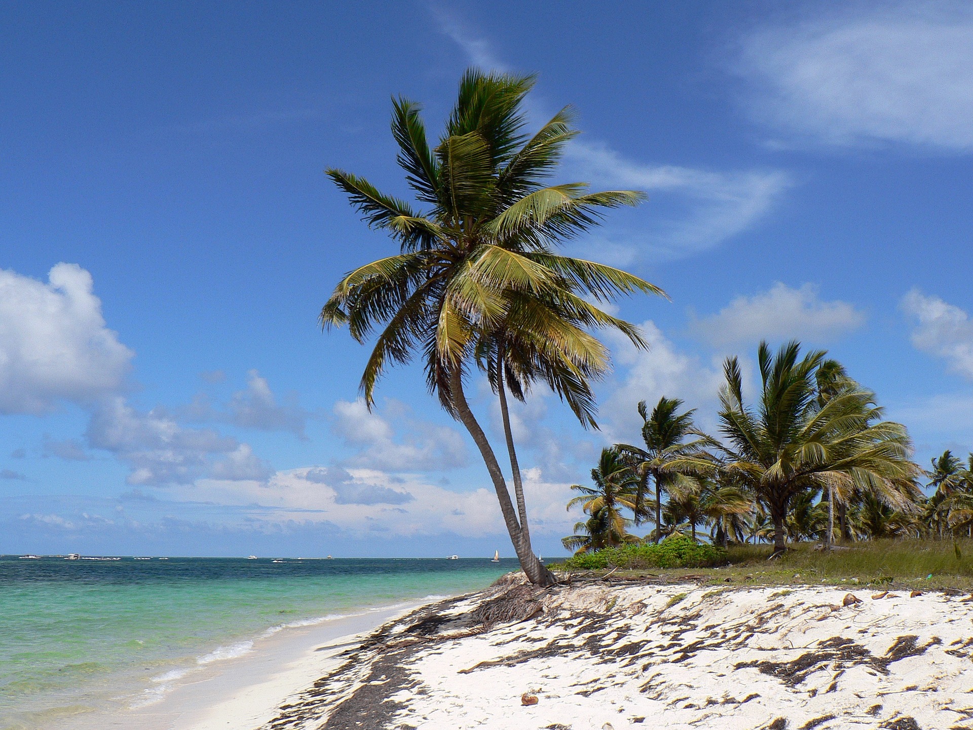 How To Get From Cabarete to Punta Cana Airport Best Way 3 How To Get From Cabarete to Punta Cana Airport - All Possible Ways, cheapest way from Cabarete to Punta Cana, Cabarete to Punta Cana, Cabarete to Punta Cana bus, Cabarete to Punta Cana Airport, Caribe Tours Cabarete