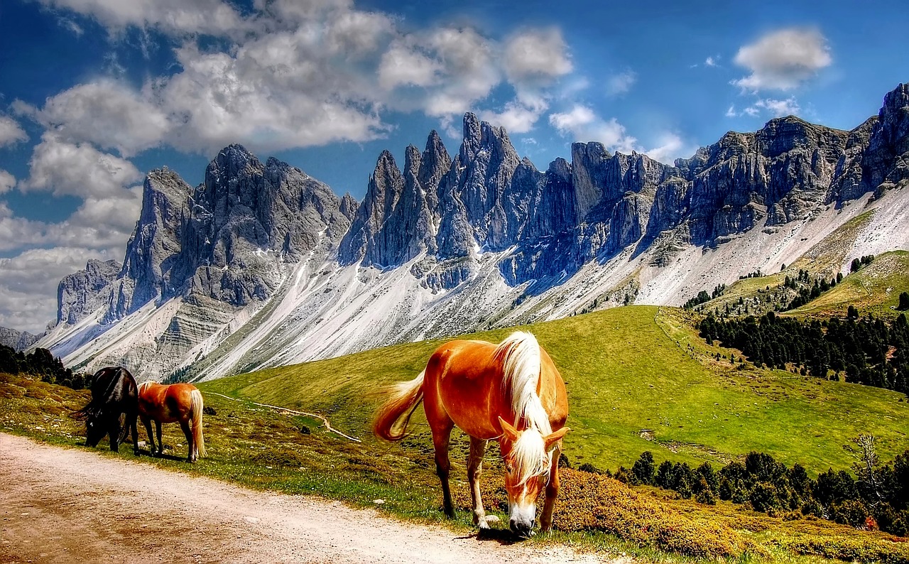 The Italy Travel List Every Visitor Should Bookmark: 7 Breathtaking Places in Italy You’ll Wish You Knew About Sooner 1 Best Places to Visit in Italy with Kids