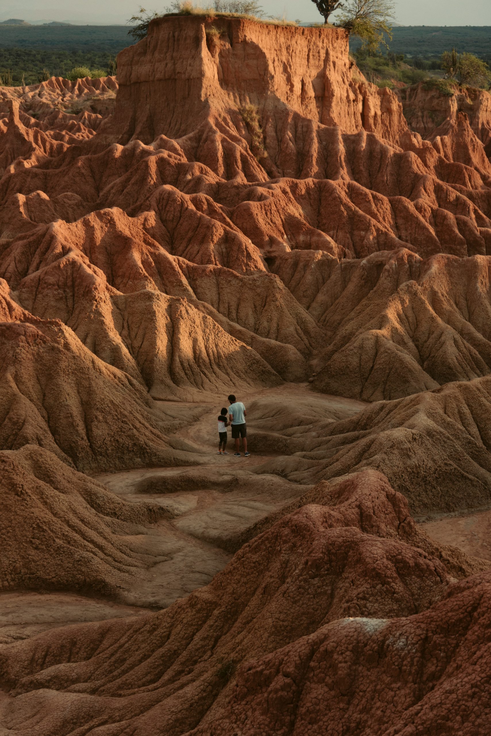 How To Get From Neiva to Tatacoa Desert Best Way 4 How To Get From Neiva to Tatacoa Desert - All Possible Ways, cheapest way from Neiva to Tatacoa Desert, Neiva to Tatacoa Desert bus, Neiva to Tatacoa Desert, bus schedule Neiva to Tatacoa Desert, Backpackers Neiva, day tour neiva to Tatacoa Desert, villavieja to Tatacoa Desert, Tatacoa Desert Day tour
