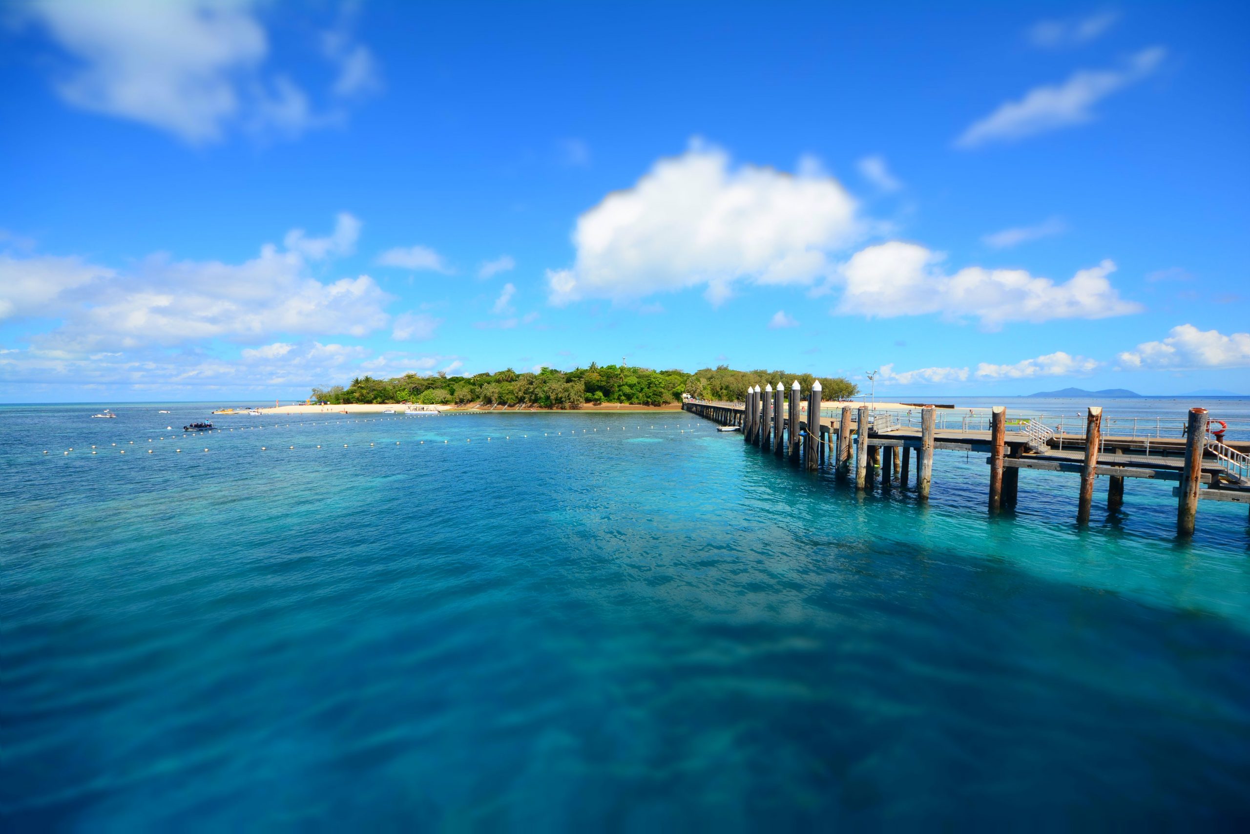 How To Get From Cairns Airport To Palm Cove - All Possible Ways, cheapest way from Cairns airport to Palm Cove, cheapest way from Cairns airport to Palm Cove, Cairns airport to Palm Cove, Cairns Bus Airport to Palm Cove, shuttle bus Cairns airport to Palm Cove, Cairns to Palm Cove